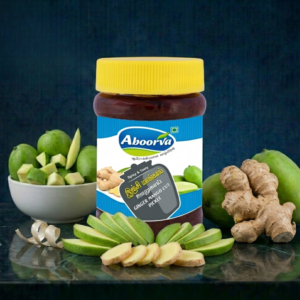 MANGO & GINGER PICKLE 300 GMS